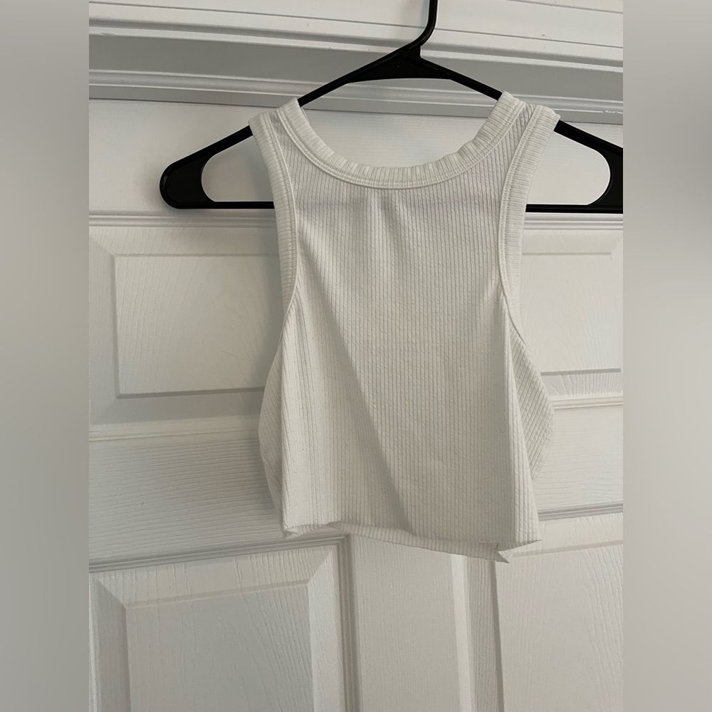 Dippin Daisy’s cut off crop